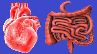 Loss Of Appetite Causes And Treatment [upl. by Lovell]