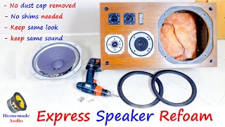 Repair speaker without removing Dust cap [upl. by Dustan455]