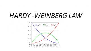 HARDYWEINBERG LAW MOST IMPORTANT TOPIC FOR CSIR NET EXAM EVOLUTION [upl. by Kalam]