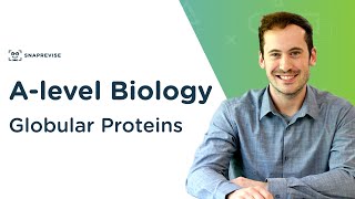 Enzymes Part 2  Inhibition  A Level Biology [upl. by Sedlik]