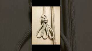 Climbing knot Triple Loop Figure 8 survivalknots knottying shorts how knot tutorial tieknot [upl. by Brade]