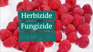 Gifte in Lebensmitteln Gefährliche Pestizide Herbizide Fungizide in Obst und Gemüse im Discounter [upl. by Essined]