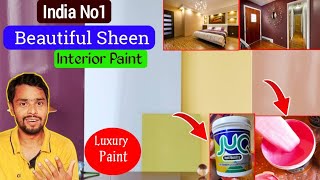 Top Quality Interior High Sheen Luxury Paint  Jk Protomax JUQ Hi SHEEN luxury PAINT [upl. by Ginder]