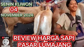 REVIEW HARGA SAPI PEDET BAKALAN BETINA SENIN 04 NOVEMBER 2024 [upl. by Atirec]