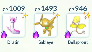 Triple Shadow Shiny Dratini Sableye Bellsprout Team in Pokemon GO [upl. by Zinnes]