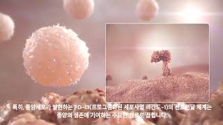 면역세포의 방어력을 높여 암세포를 사멸하는 캄렐리주맙의 작용기전 [upl. by Benildas]