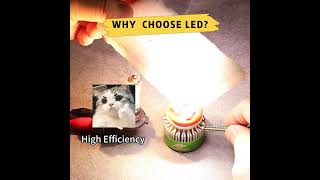 LED vs Halogen Bulbs How Hot Are They carledlights ledheadlights [upl. by Ladnor]