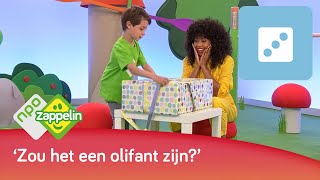 EEN GROTE DOOS UITPAKKEN  Kinderspelletjes spelen met Fenna  NPO Zappelin [upl. by Rosena]