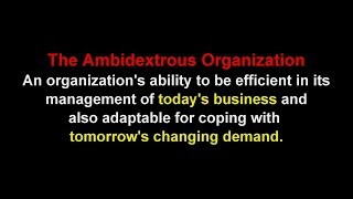 How Do You Create the Ambidextrous Organization [upl. by Duile865]