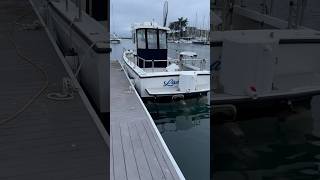 Farallon 2800 Walkaround [upl. by Walden]