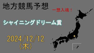 地方競馬予想 20241212 川崎11R シャイニングドリーム賞 [upl. by Ailima716]