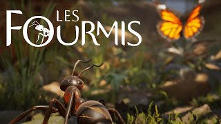 Les Fourmis FR Stratégie Survie et Batailles Épiques dans la Forêt 🐜🦋 [upl. by Gnex]