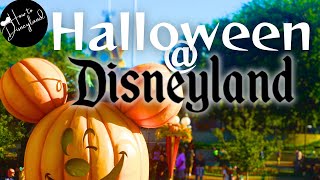 10 Quick tips 2024 Halloween season Disneyland Resort [upl. by Mcgee207]