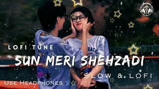 Sun meri shehzadi Slowed Down amp Reverb Saaton Janam Mein Tere Night Song lofisong Bhagtivlog [upl. by Ycrem]