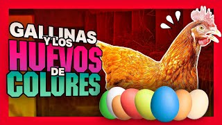 🐓 Huevos de Colores y las Gallinas que los producen 🐓 [upl. by Enrobyalc]