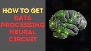 How to Get Data Processing Neural Circuit in The First Descendant [upl. by Mildrid]