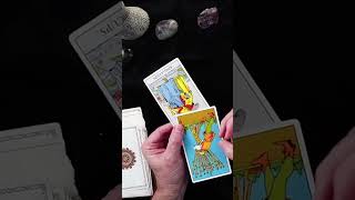 What You Need To Know Right Now Highlight  Timeless Tarot Reading tarot universe shorts [upl. by Eeraj]