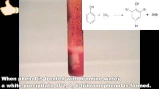 Reaction of Bromine with Phenol [upl. by Ocimad]