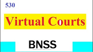 Clause 530 BNSS Virtual Court [upl. by Kissel]