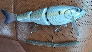 The 2 baits you need right now at Lake Norman [upl. by Tenney501]