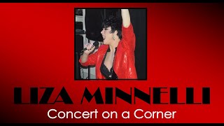 Amie Vanité as Liza Minnelli Concert on a Corner [upl. by Levin]