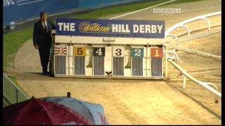 Greyhound Derby Final 2010 [upl. by Dlaner]