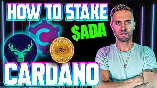 Cardano STAKING Is Simple HOW TO Stake Your ADA Tutorial [upl. by Bloomer]