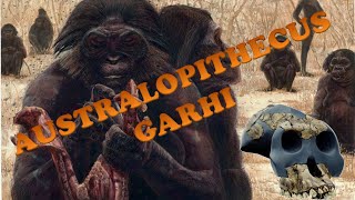 Australopithecus garhi [upl. by Galen]