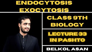 Endocytosis and Exocytosis Explained By Basharat Ali  Class 9th Biology [upl. by Anilas]