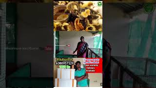 IncubatorReelsManufacturingTrending Agriculture Vivasayam tamilreelstrending [upl. by Kirre]