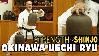 UECHI RYU  Shinjo SANCHIN RESISTANCE [upl. by Alyos210]