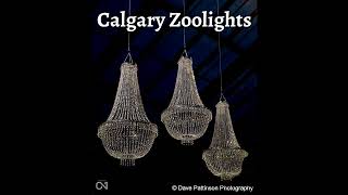 Calgary Zoolights [upl. by Gow]