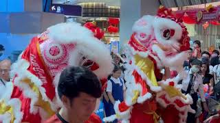 Chinese New Year celebrations 🎉 started in Singapore 🇸🇬 2024 [upl. by Fionnula]