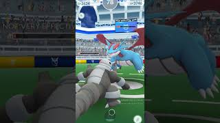 Double KO Drama Aggron vs Salamence in Epic Battle [upl. by Primaveras349]