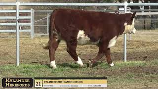 LOT 21 KYLANDEE CORISANDE U061 H [upl. by Leyla115]