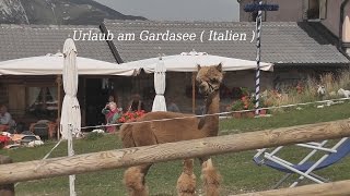 Urlaub am Gardasee  Italien Neufassung von tubehorst1 [upl. by Ardnaed]