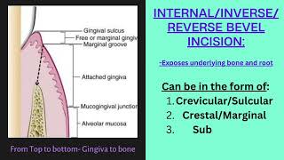 Types of Incisions in Periodontal Surgery  Easy  Quick notes dentaleducation [upl. by Annaegroeg45]