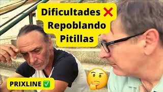 PRIXLINE ✅ CÓMO VIVIR EN LOS PUEBLOS DE ESPAÑA 🇪🇸 QUE NECESITAN EXTRANJEROS ¡REPOBLANDO PITILLAS [upl. by Ennaimaj639]