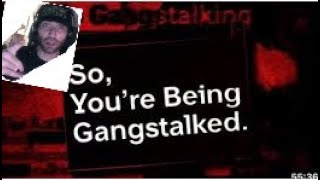 So Youre Being Gangstalked  Video Analysis [upl. by Cavill]