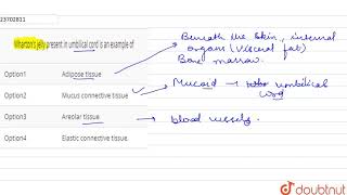 Whartons jelly present in umbilical cord is an example of [upl. by Assirhc]