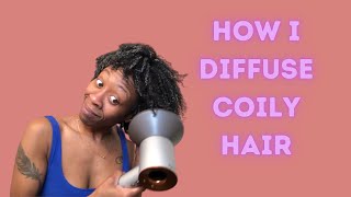 DIFFUSING AND DRYING 4B 4C HAIR VLOGMAS DAY 11 [upl. by Ahseet61]