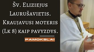 Pamokslas šv Eliziejaus gyvenimas ir kraujoplūdžiu sirgusios moters įkvepiantis pavyzdys Lk 8 [upl. by Assej]