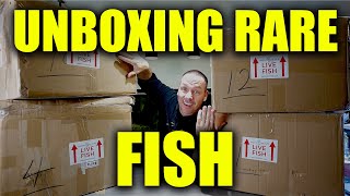 GIANT AQUARIUM FISH UNBOXING [upl. by Eluj482]