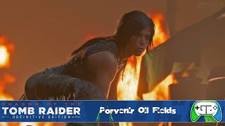 Shadow of the Tomb Raider  Porvenir Oil Fields  Walkthrough [upl. by Enrica591]