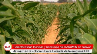 Ing Enrique Justiniano – Asesor técnico Agro Nueva Holanda [upl. by Urban818]