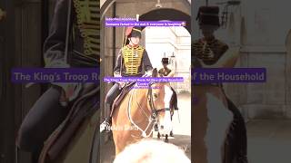 ROYAL TROOPERS kingsguard shorts youtubeshorts horse vlog trending troops troopers [upl. by Acinorehs]