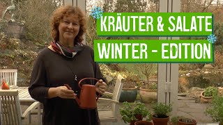 Salat und Kräuteranbau im Winter  Der Grüne Tipp [upl. by Corrina171]