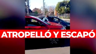 LOCURA EN BERNAL un conductor atropelló a un ciclista y escapó [upl. by Conni194]