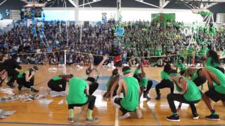 Dreyfoos Sophomore Pep Rally Dance 2016 [upl. by Tolliver]