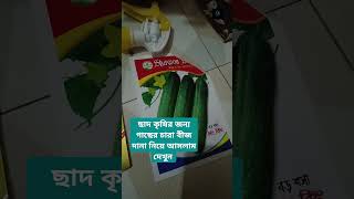 ছাদ কৃষির জন্য গাছের চারা বীজ দানা নিয়ে আসলাম দেখুন।  My Farming  Village Farming MiniVlog [upl. by Yenmor727]